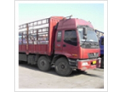 T(mn) (zhun)
