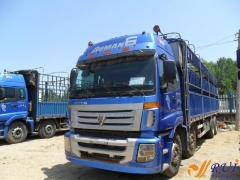 |(zhun)(xin)